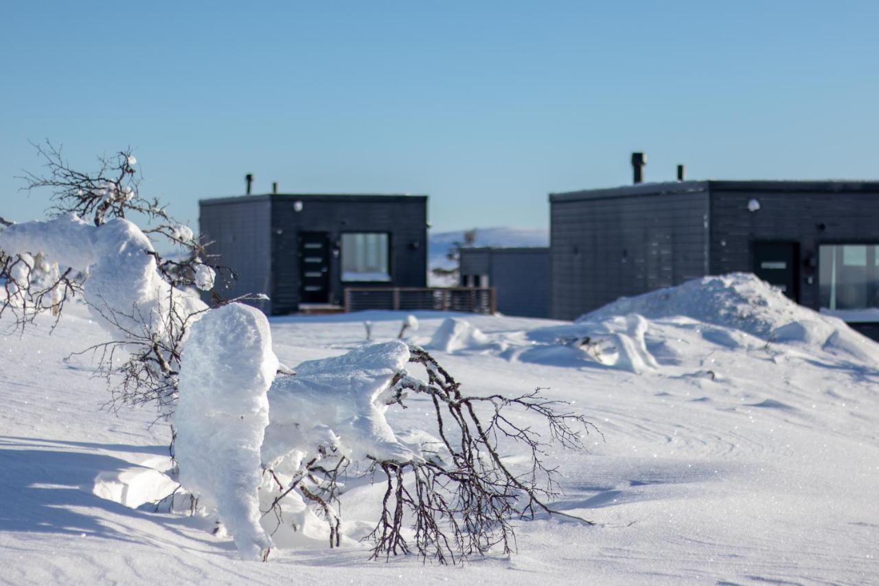 Top Star Saariselkae - Arctic Glass Cubes Eksteriør bilde